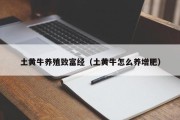 土黄牛养殖致富经(土黄牛怎么养增肥) 土黄牛养殖致富经(土黄牛怎么养增肥)