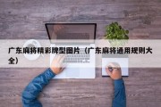 广东麻将精彩牌型图片（广东麻将通用规则大全）