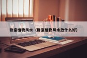 卧室植物风水(卧室植物风水放什么好) 卧室植物风水(卧室植物风水放什么好)