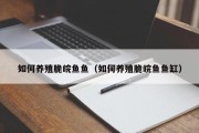 如何养殖脆皖鱼鱼(如何养殖脆皖鱼鱼缸) 如何养殖脆皖鱼鱼(如何养殖脆皖鱼鱼缸)