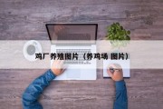 鸡厂养殖图片(养鸡场 图片) 鸡厂养殖图片(养鸡场 图片)