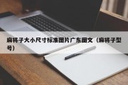 麻将子大小尺寸标准图片广东图文（麻将子型号）