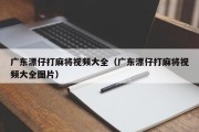 广东漂仔打麻将视频大全（广东漂仔打麻将视频大全图片）