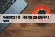 蚯蚓高密度养殖(蚯蚓高密度养殖最简单三个步骤) 蚯蚓高密度养殖(蚯蚓高密度养殖最简单三个步骤)