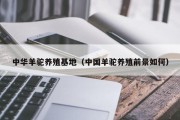 中华羊驼养殖基地(中国羊驼养殖前景如何) 中华羊驼养殖基地(中国羊驼养殖前景如何)