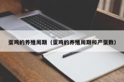 蛋鸡的养殖周期(蛋鸡的养殖周期和产蛋数) 蛋鸡的养殖周期(蛋鸡的养殖周期和产蛋数)