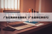 广东杠牌麻将自摸照片（广东麻将杠牌技巧）