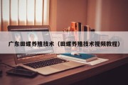 广东田螺养殖技术(田螺养殖技术视频教程) 广东田螺养殖技术(田螺养殖技术视频教程)